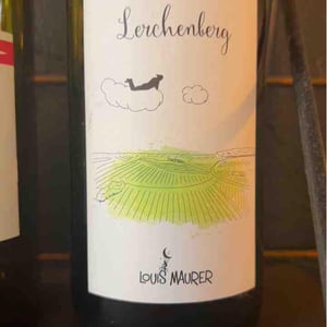 Lerchenberg - Louis Maurer - louis-maurer