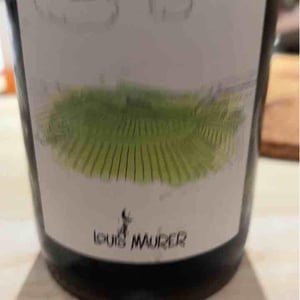 Louis Maurer - Louis Maurer - Lerchenberg