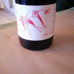 Marie et Vincent Tricot - Vincent et Marie Tricot - Les 3 Bonhommes MC