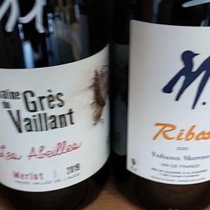 Les Abeilles - Domaine De Grès Vaillant - Aigline de Causans et Laurent Maffeïs 