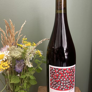 Les Abeilles - Domaine Montaillant - alexis-hudon-jerome-loubert -2022
