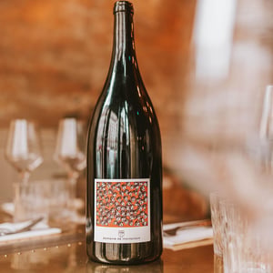 Les Abeilles - Domaine Montaillant - alexis-hudon-jerome-loubert -2022