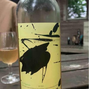 Les Agaves - Domaine des Balmettes - Lucien Salani 