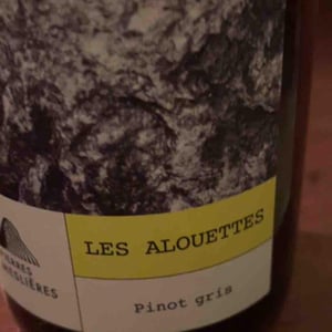 Les Alouettes - Les Pierres Meslières - frederic-monnier -2022