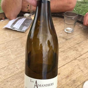 Les Amandiers - Château La Tour Grise/Gourdon Vignerons - philippe-francoise-gourdon-retired