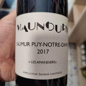 Les amandiers - Jonathan Maunoury - jonathan-maunoury -2020