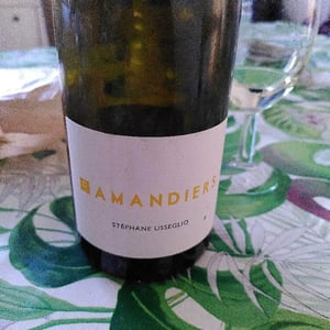 Les Amandiers - Raymond Usseglio & Fils - stephane-usseglio
