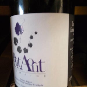 Les Amis Imaginaires - Domaine du Petit Août - yann-de-agostini