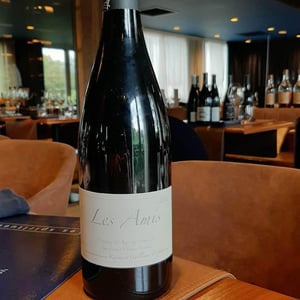 Les Amis - Domaine de Sulauze - karina-guillaume-lefevre
