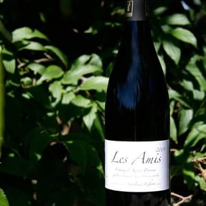 Les Amis - Domaine de Sulauze - karina-guillaume-lefevre