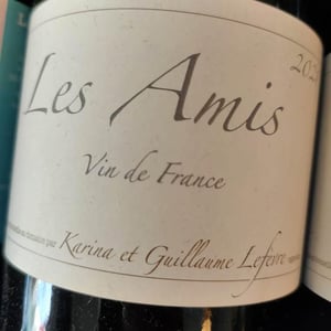 Les Amis - Domaine de Sulauze - karina-guillaume-lefevre