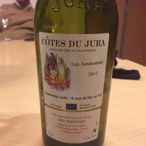 Domaine Buronfosse - Peggy & Jean-Pascal Buronfosse - Les Ammonites
