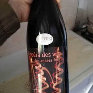 Les Années Folles - Les Vignes de l'Angevin - jean-pierre-robinot -2020