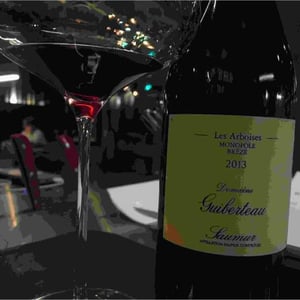 Les Arboises - Domaine Guiberteau - Romain Guiberteau 