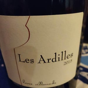 Hervé Villemade - Hervé Villemade - Les Ardilles