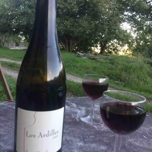 Hervé Villemade - Hervé Villemade - Les Ardilles