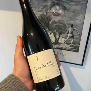 Les Ardilles - Hervé Villemade - herve-villemade