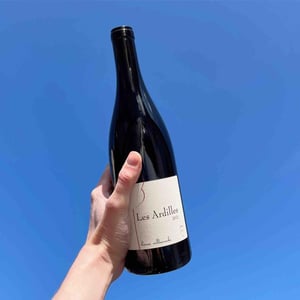 Les Ardilles - Hervé Villemade - Hervé Villemade 