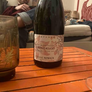 Les Arpents Rouges - Domaine Nowack - flavien-nowack