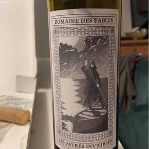 Les Astres Invisibles - Domaine des Fables - François Gilles 