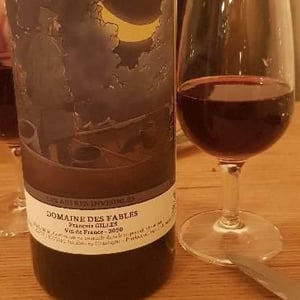 Domaine des Fables - François Gilles - Les Astres Invisibles