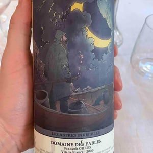 Les Astres Invisibles - Domaine des Fables - François Gilles 