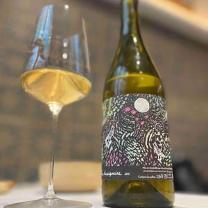 Les Aussigouins - Vins Hodgson - Mai & Kenji Hodgson 