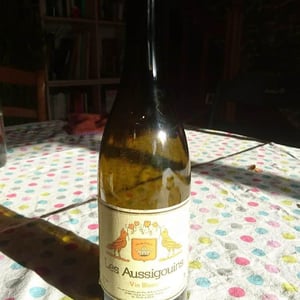 Vins Hodgson - Mai & Kenji Hodgson - Les Aussigouins
