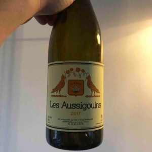 Vins Hodgson - Mai & Kenji Hodgson - Les Aussigouins