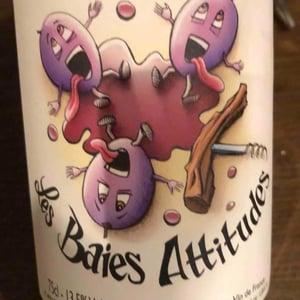 Les Baies Attitudes - Domaine Balbuzard - yohann-moreaux