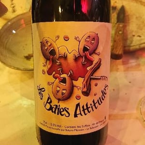 Les Baies Attitudes - Domaine Balbuzard - yohann-moreaux