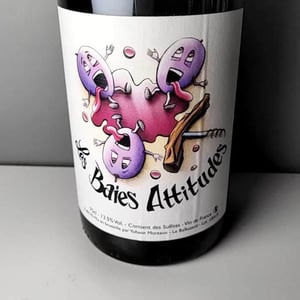 Les Baies Attitudes - Domaine Balbuzard - yohann-moreaux