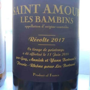 Les Bertrand - Guy, Annick & Yann Bertrand - Les Bambins