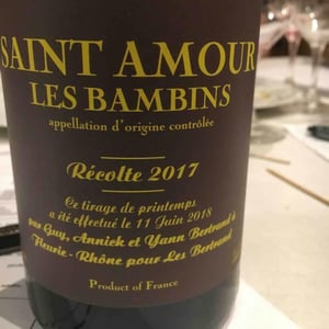 Les Bambins - Les Bertrand - guy-annick-yann-bertrand