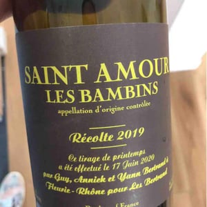 Les Bertrand - Guy, Annick & Yann Bertrand - Les Bambins
