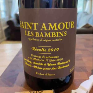 Les Bambins - Les Bertrand - guy-annick-yann-bertrand