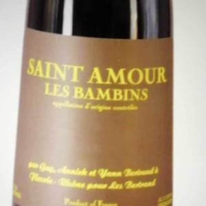 Les Bertrand - Guy, Annick & Yann Bertrand - Les Bambins