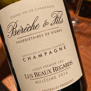 Les Beaux Regards - Berêche & Fils - Raphaël & Vincent Berêche 