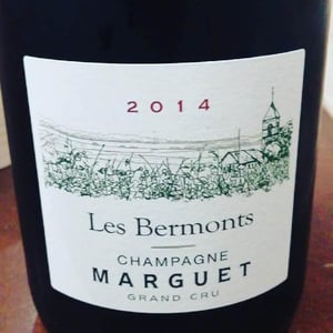 Les Bermonts - Champagne Marguet - benoit-marguet