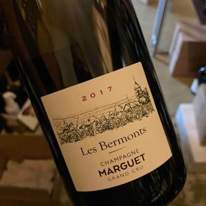 Les Bermonts - Champagne Marguet - Benoît Marguet 