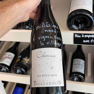 Les Boccards - Domaine Thillardon - aude-jean-baptiste-charles-et-paul-henri-thillardon