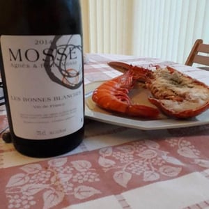 Domaine Mosse - Sylvestre & Joseph Mosse - Les Bonnes Blanches