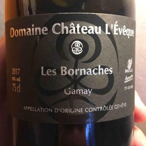 Gamay « Les Bornaches » - Domaine Château L'Evêque - martine-et-alexandre-mevaux