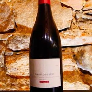 Les Bornés - Domaine Pellé - paul-henry-pelle -2017