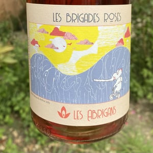 Les Brigades Roses - Les Abrigans - laura-lees-arthur-joly -2021