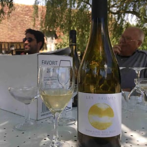 Domaine des Buis - Pauline Broqua - Les Brumes