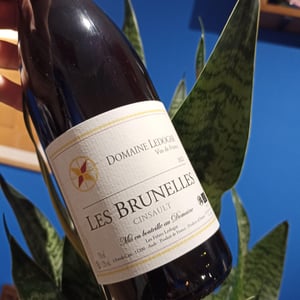 Les Brunelles - Domaine Ledogar - Xavier, Mathieu & Benoît Ledogar -2020