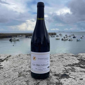 Les Brunelles - Domaine Ledogar - xavier-mathieu-benoit-ledogar -2020
