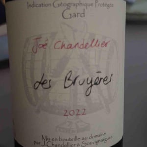 LES BRUYERES - Joé Chandellier - Joé Chandellier -2022