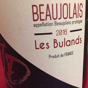 Les Bulands - Justin Dutraive - justin-dutraive